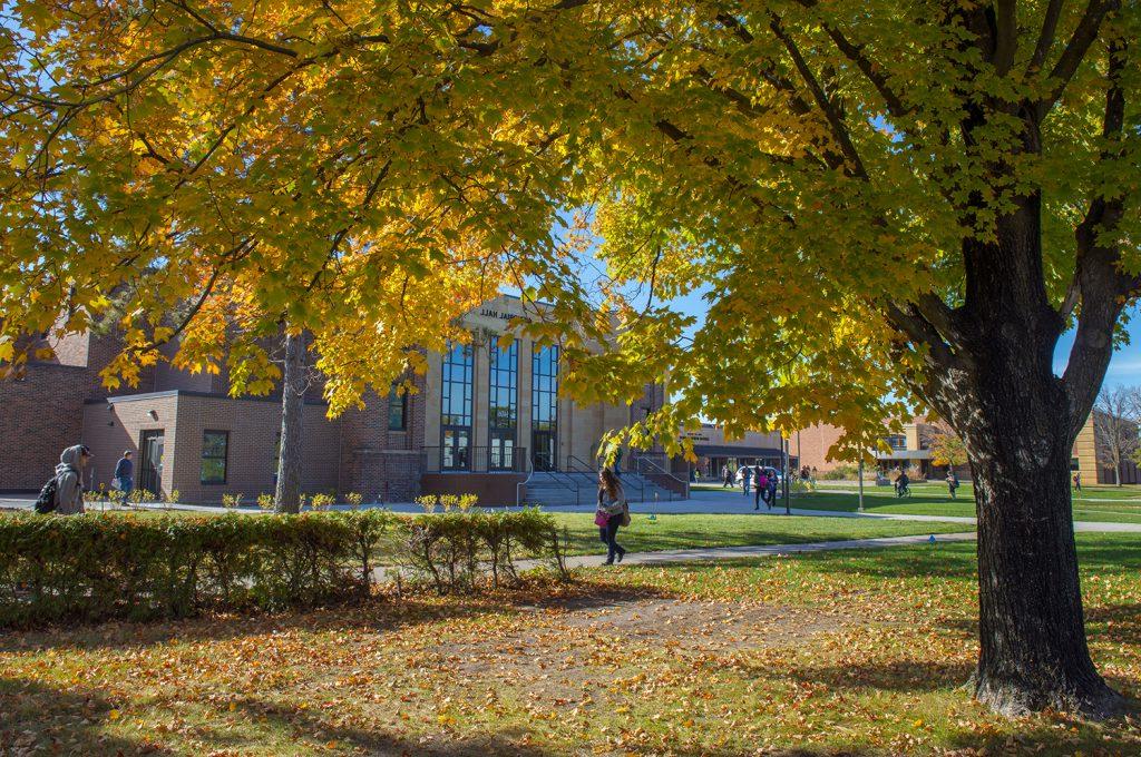 贝米吉州立大学校园的秋天